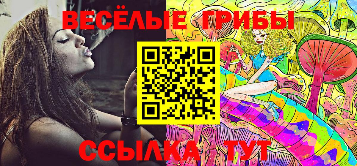 Псилоцибиновые грибы мицелий Губкинский