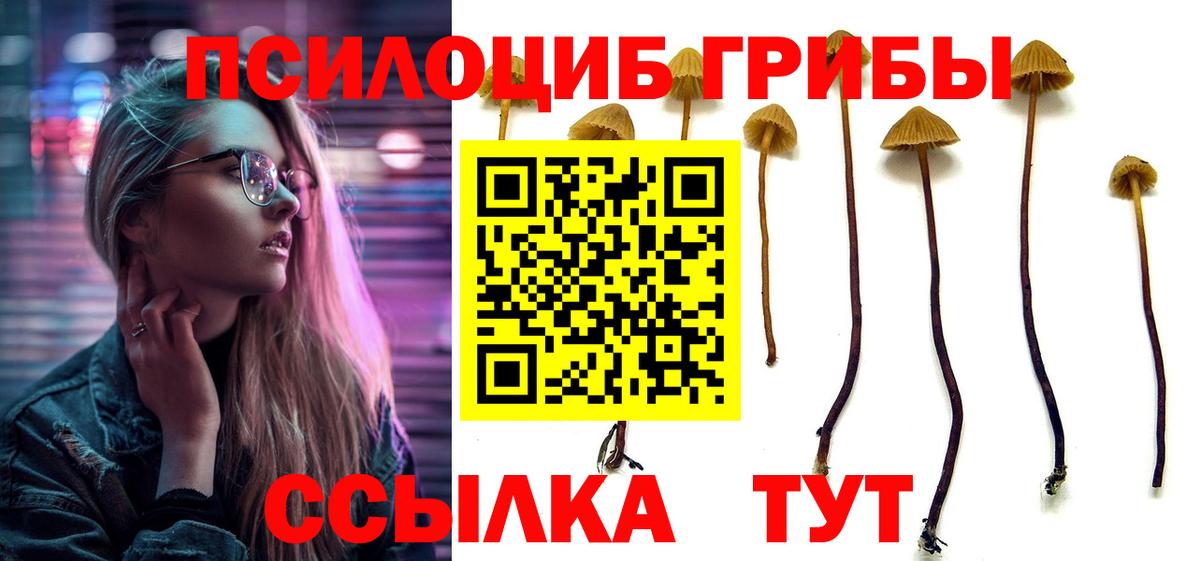 Губкинский  Галлюциногенные грибы прущие грибы  Вход с VPN 