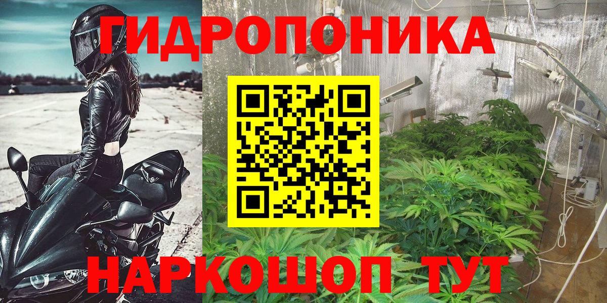 ГАШИШ Губкинский